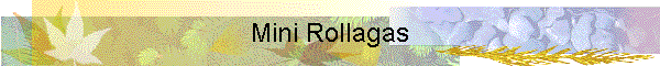 Mini Rollagas