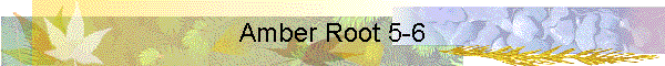 Amber Root 5-6