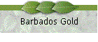 Barbados Gold