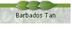 Barbados Tan