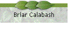 Briar Calabash