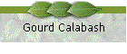 Gourd Calabash