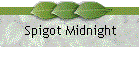 Spigot Midnight