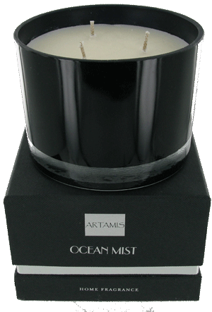 CAN02OM Fragranced Candle 11X8 cm Ocean Mist